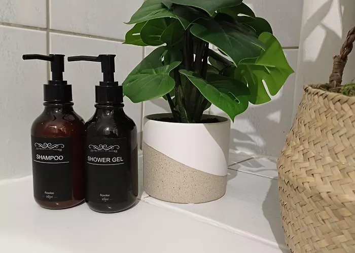 Junglappart T3 Familial Proche Gare & Centre I Garage Inclus Par Cn Loc Dijon